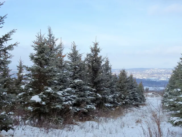 Eladó telek Mogyoród 27008 nm