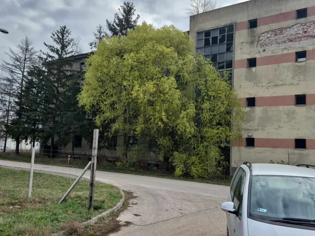 Eladó kereskedelmi és ipari ingatlan Kiskunfélegyháza 4408 nm