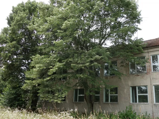 Eladó kereskedelmi és ipari ingatlan Lőrinci 3250 nm