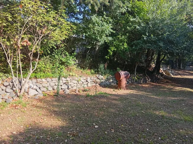 Eladó kereskedelmi és ipari ingatlan Leányfalu 650 nm