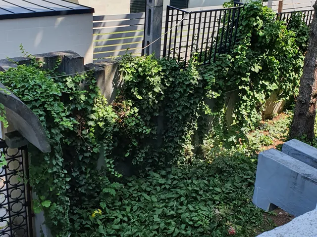 Kiadó lakás Budapest XII. kerület, Zugliget 66 nm