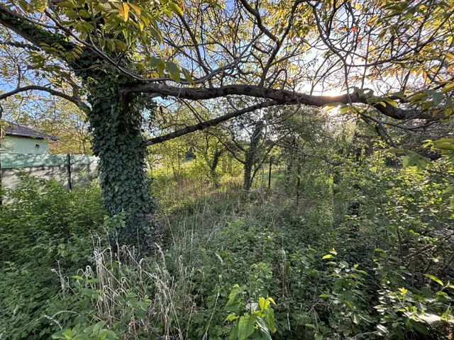 Eladó telek Budapest XXII. kerület, Nagytétény 931 nm