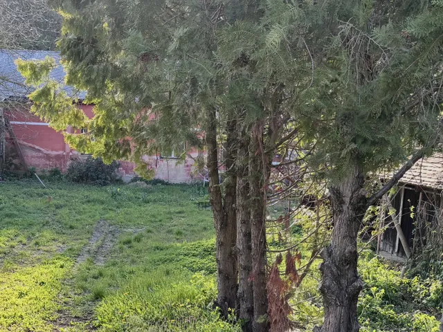 Eladó telek Pécs, Rigóder 116 nm