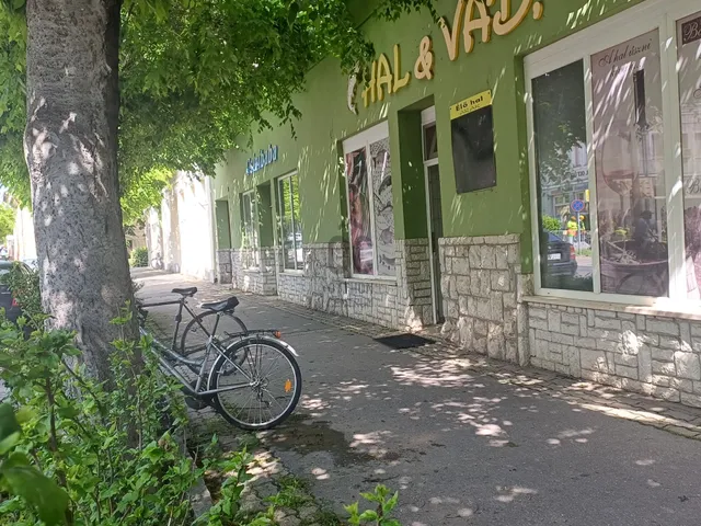 Eladó kereskedelmi és ipari ingatlan Mohács 204 nm