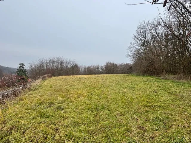 Eladó telek Zalaköveskút 2731 nm