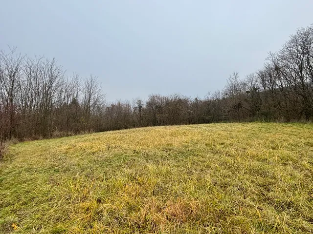 Eladó telek Zalaköveskút 2731 nm