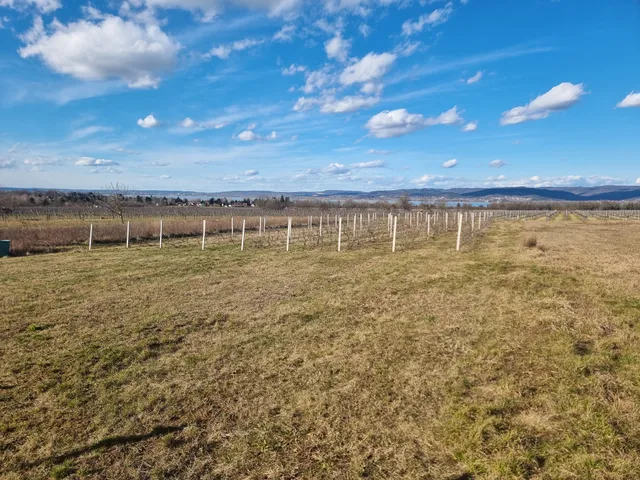 Eladó telek Balatonberény 2600 nm