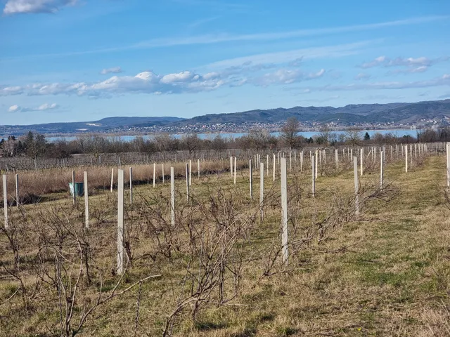 Eladó telek Balatonberény 2600 nm