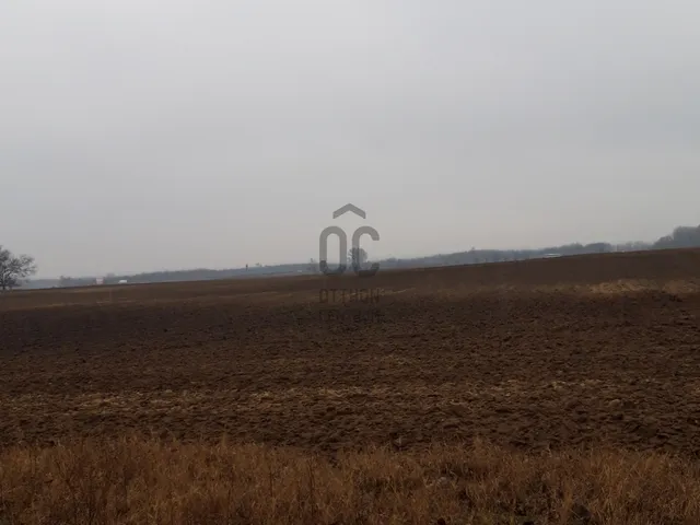 Eladó mezőgazdasági ingatlan Üllő 56681 nm