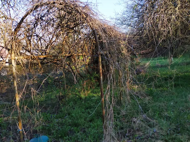 Eladó ház Isaszeg 50 nm