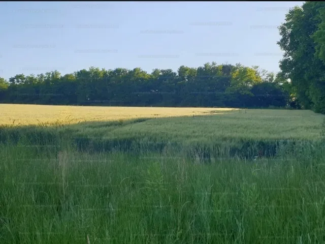 Eladó telek Alsópáhok 1234 nm