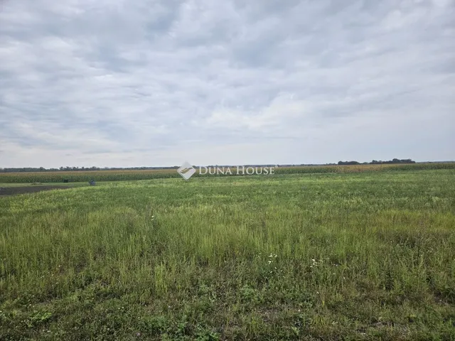 Eladó telek Dunaszeg 1134 nm