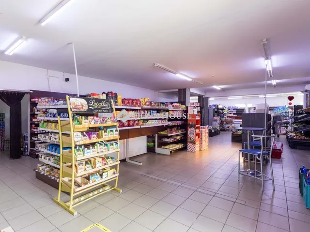 Eladó kereskedelmi és ipari ingatlan Jánossomorja 540 nm