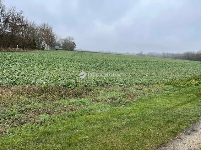 Eladó telek Lébény 20418 nm