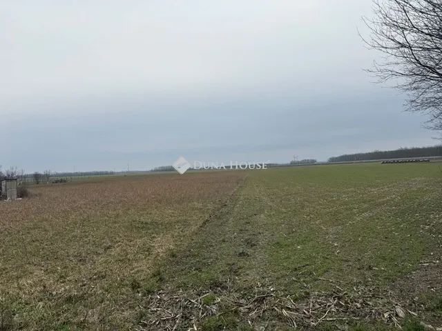 Eladó telek Tét 3518 nm