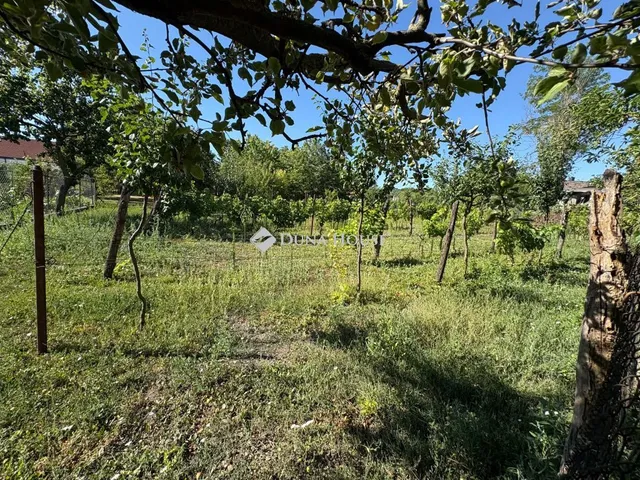 Eladó telek Jánossomorja 770 nm