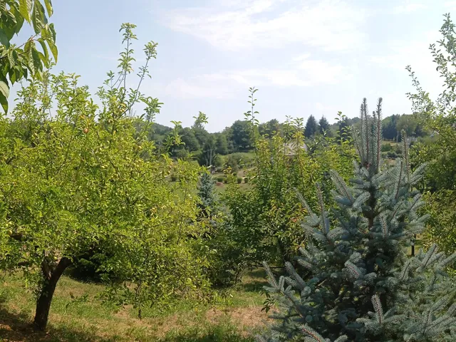 Eladó telek Nagykanizsa 921 nm