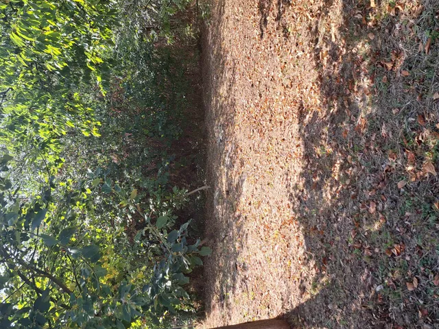 Eladó üdülő és hétvégi ház Nagykanizsa 30 nm