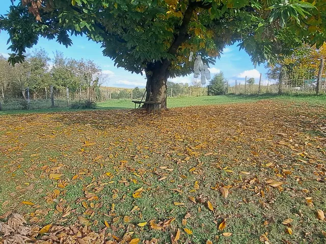 Eladó ház Pogányszentpéter 1 nm