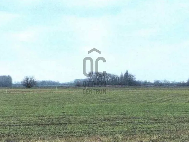 Eladó telek Fertőd 800 nm