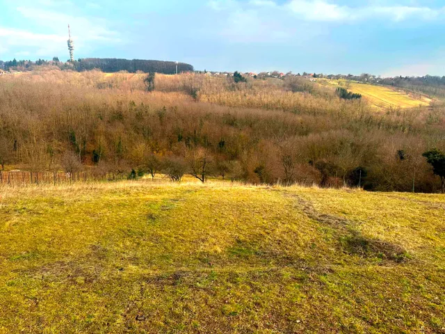 Eladó telek Zalaegerszeg 5909 nm