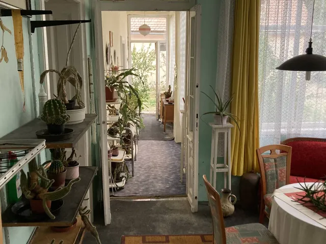 Eladó ház Zsadány 192 nm