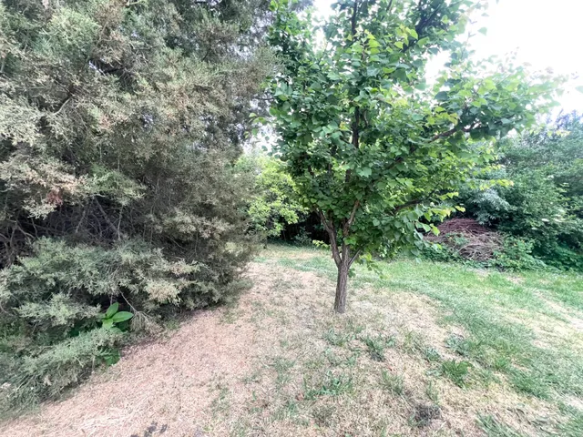 Eladó ház Békésszentandrás 200 nm