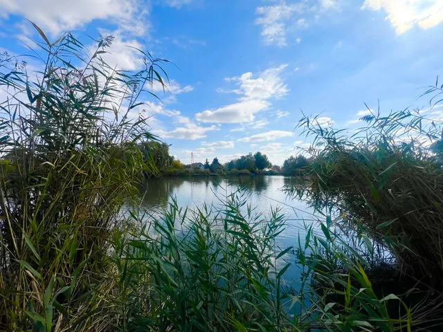 Eladó telek Szarvas 828 nm