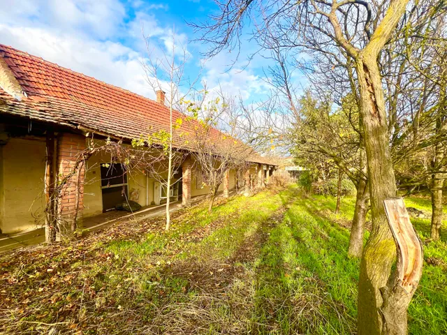 Eladó ház Békés 90 nm