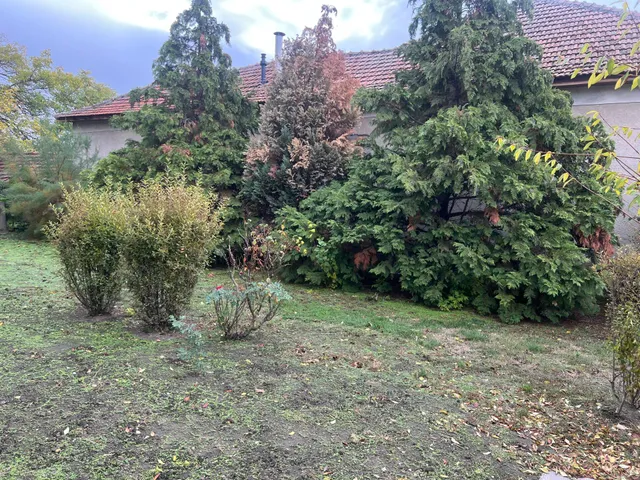 Eladó ház Békéssámson 80 nm