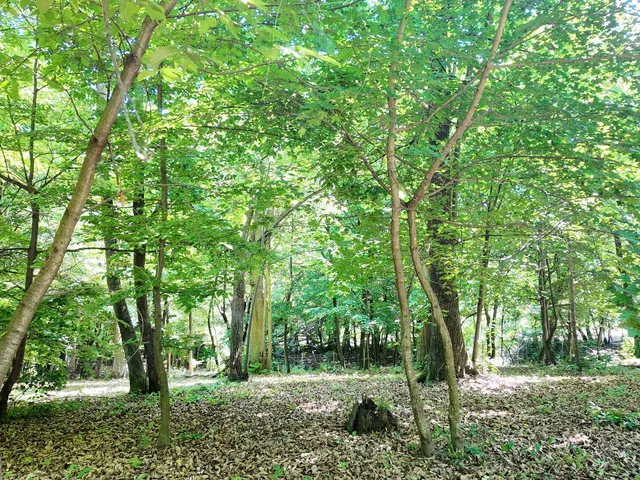 Eladó telek Sopron 7850 nm