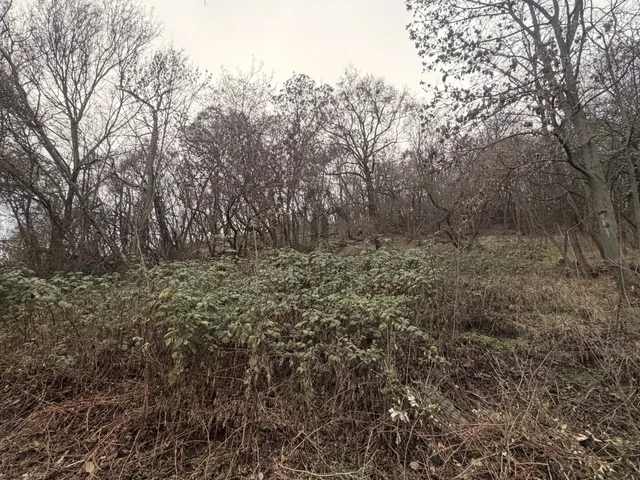 Eladó telek Leányfalu 838 nm