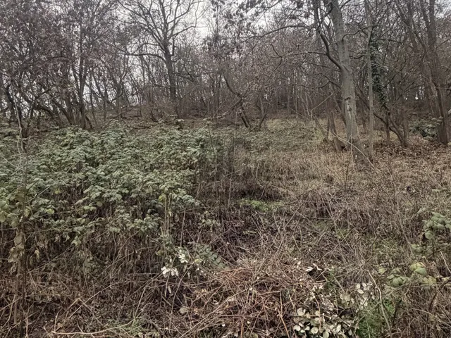 Eladó telek Leányfalu 838 nm