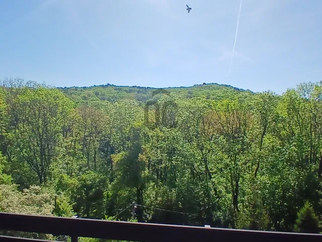 Eladó ház Budapest II. kerület, Hársakalja 219 nm