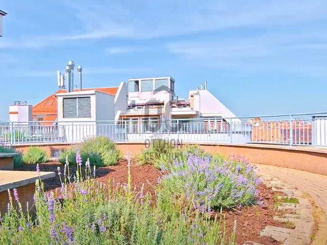 Eladó lakás Budapest VII. kerület, Ligetváros 286 nm