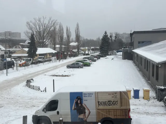 Kiadó kereskedelmi és ipari ingatlan Budapest III. kerület, Kaszásdűlő 504 nm