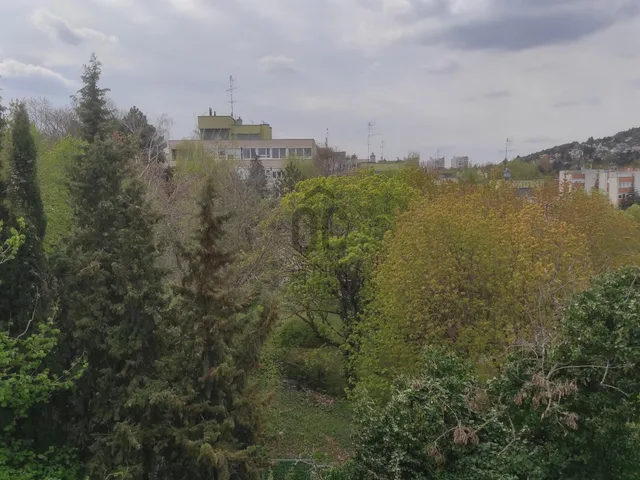 Eladó lakás Budapest II. kerület, Zöldmál 60 nm