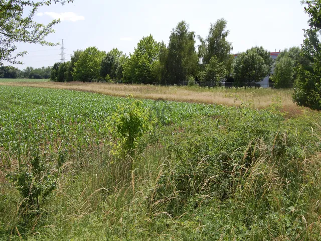 Eladó telek Szombathely, Bébictelep 5497 nm