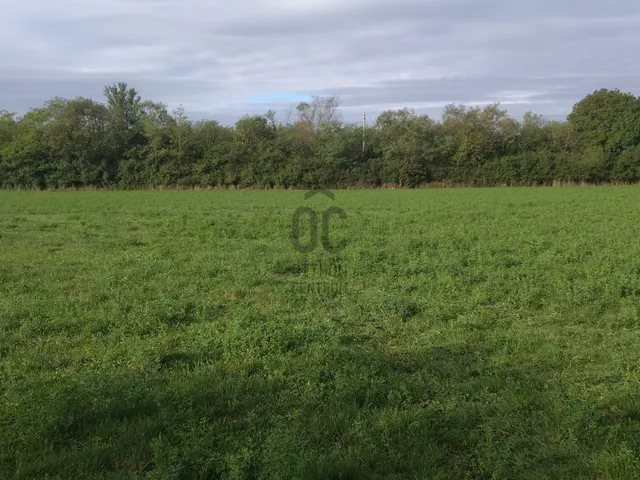 Eladó telek Szombathely, Szentkirály 12114 nm