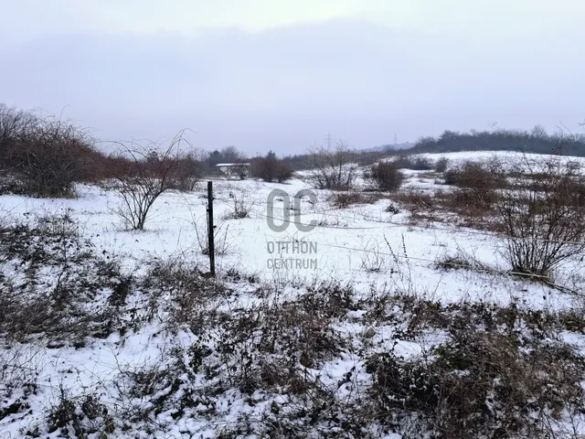 Eladó mezőgazdasági ingatlan Üröm 5026 nm