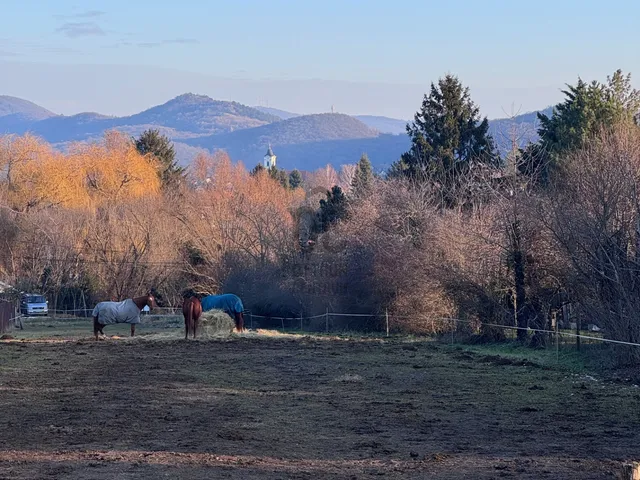 Eladó telek Solymár 2500 nm