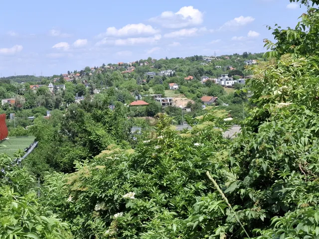 Eladó telek Budapest III. kerület, Csúcshegy 1047 nm