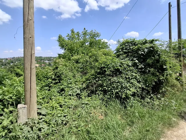 Eladó telek Budapest III. kerület, Csúcshegy 1047 nm