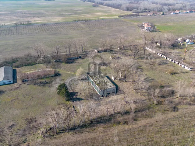 Eladó kereskedelmi és ipari ingatlan Bácsszőlős 21019 nm