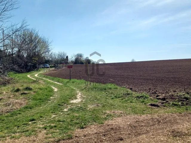 Eladó mezőgazdasági ingatlan Pécel 3080 nm