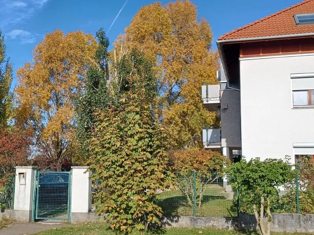 Kiadó lakás Budapest XVII. kerület, Pesti úti lakópark 47 nm