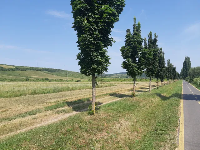 Eladó telek Eger, Felnémet 4034 nm