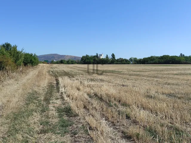 Eladó telek Gyöngyös, Déli iparterület 48382 nm