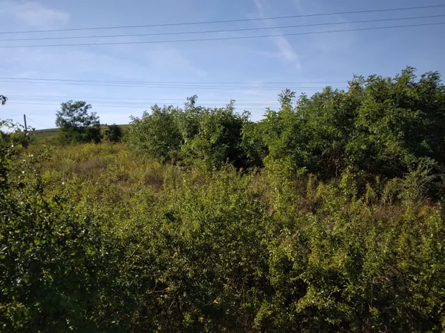 Eladó telek Eger, Lajosváros 1474 nm