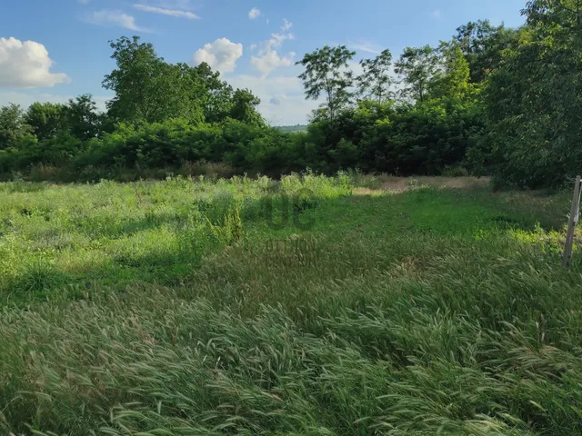 Eladó telek Andornaktálya 809 nm